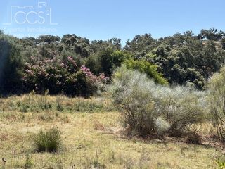Masia a Castillo de las Guardas (El). Venta de finca  de 22.902 m2 de superficie con 2 casas, luz y po