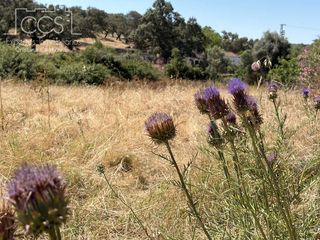 Mas à Castillo de las Guardas (El). Venta de finca  de 22.902 m2 de superficie con 2 casas, luz y po