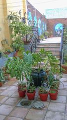 Casa a schiera in Bollullos Par del Condado. Extraordinaria propiedad con local, garaje, ascensor, nave, pisc