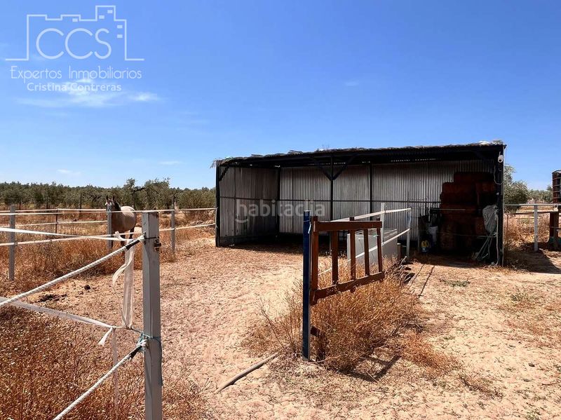 Foto b1213b32-8962-4de5-a815-339d251c82f0. Finca rústica a n/a a Almonte Almonte