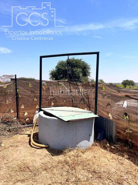 Foto ea544f86-c82a-40ee-94b9-2ab28706d343. Finca rústica a n/a a Almonte Almonte