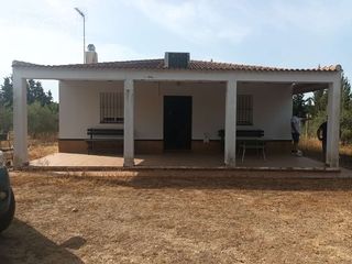 Country house in Almonte. Venta de finca en concesión  de 3.000m2 con caseta de aperos de