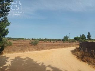 Masia a Almonte. Venta de finca en concesión  de 3.000m2 de terreno con caseta de
