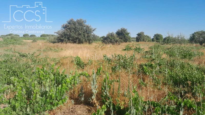 Foto a537f4bc-1218-4fbe-96ae-d67566471594. Finca rústica a Almonte Almonte
