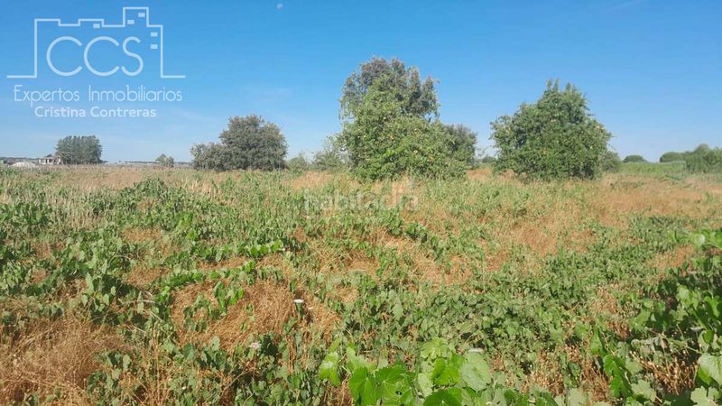 Foto ab34f23d-37d0-4a4b-b66c-77050d939af1. Finca rústica a Almonte Almonte