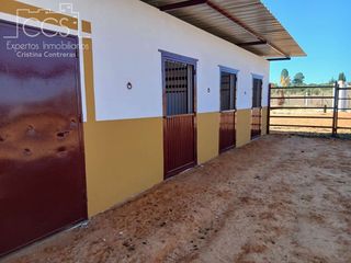 Finca rústica a Almonte. Venta de finca en concesión  de 10000m2 de terreno y cuadras par
