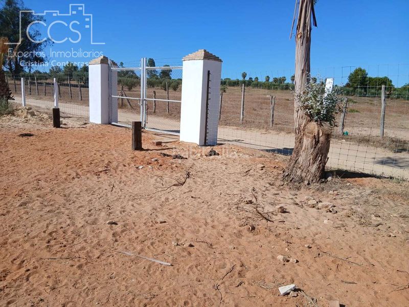 Foto 0537da84-6d2d-452d-8b16-db40ba99c733. Finca rústica a Almonte Almonte