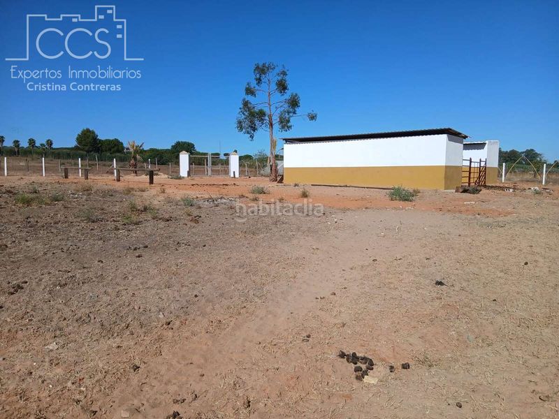 Foto 44d86258-5b02-4a02-9c97-9c11d7d10388. Finca rústica a Almonte Almonte