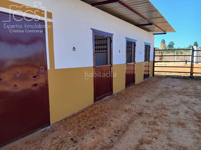 Foto a96b69d3-e47a-4da1-8a28-a2c9936ace3a. Finca rústica a Almonte Almonte