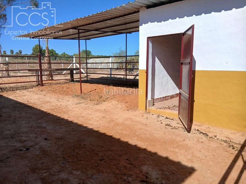 Foto b671b15b-9fe6-46c9-85d4-9f7035e96dc3. Finca rústica a Almonte Almonte
