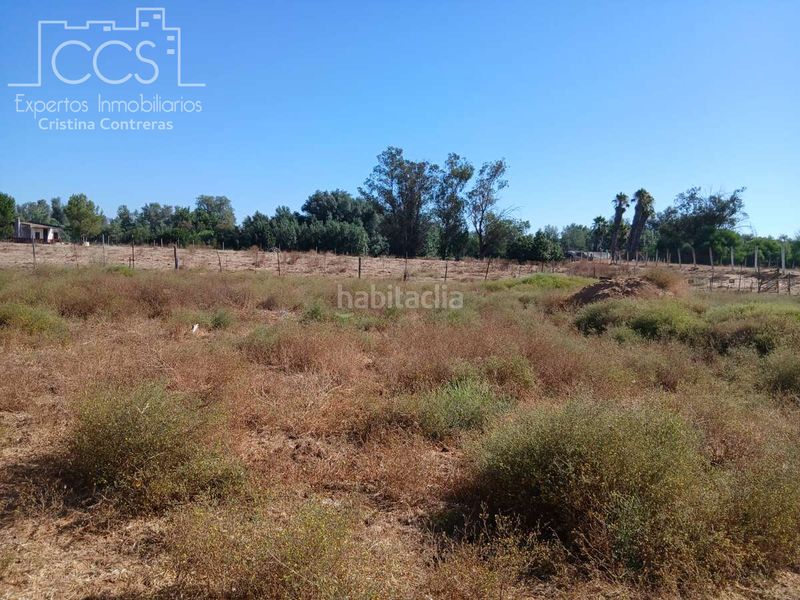 Foto d4bf69f5-4ff3-4095-8163-267434b19a33. Finca rústica a Almonte Almonte