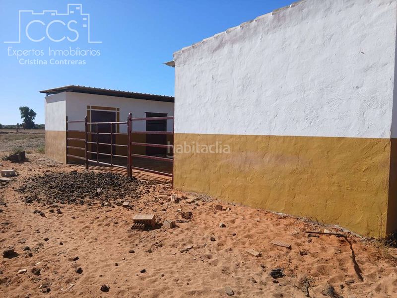 Foto d6472a9c-eaf0-4c7d-aa51-ed1f55bc7d9d. Finca rústica a Almonte Almonte