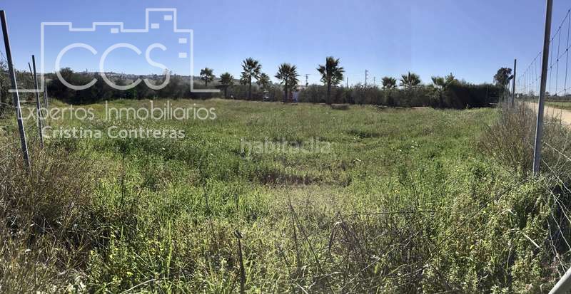 Foto a6e33165-635a-4f61-a179-f93888ef7db3. Finca rústica a Aznalcázar