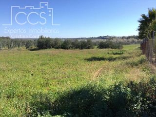 Finca rústica en Aznalcázar. Venta de finca rústica de 9.152 m en aznalcázar