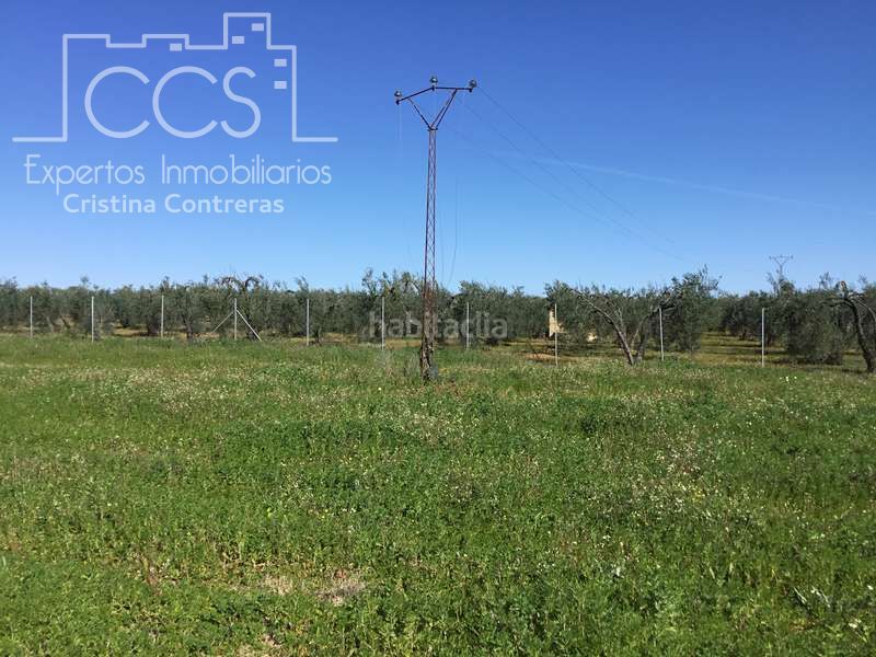 Foto f0d8c00a-71c8-4ee7-b6ec-32972ee08828. Finca rústica a Aznalcázar