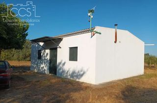 Masia a Almonte. Venta de finca en propiedad de 1ha de terreno y caseta de aperos