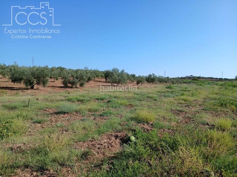 Foto c917d96d-f7cf-42ef-954a-d11a638ff801. Finca rústica a Almonte Almonte
