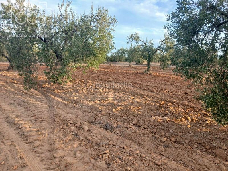 Foto 03d13303-7ad9-4445-8b27-fad3b8aebf72. Finca rústica a Almonte Almonte