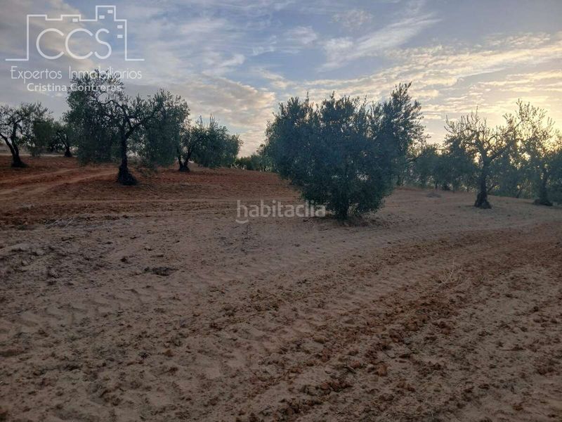 Foto 16e83cf2-bc98-4b73-93d7-8ff78549f8ba. Finca rústica a Almonte Almonte