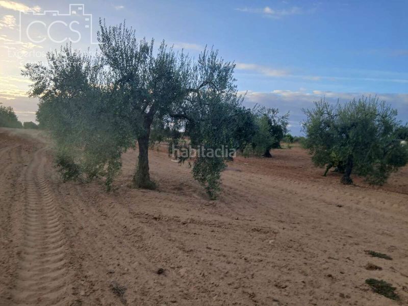 Foto be017271-03e7-4d48-9c48-b25034955a96. Finca rústica a Almonte Almonte