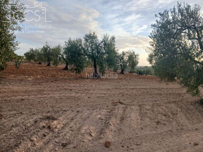 Foto f2c69b3c-045f-4e2c-8985-767f6e2cff8a. Finca rústica a Almonte Almonte