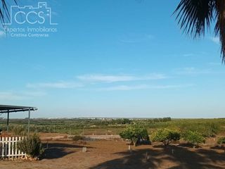Mas à Bollullos Par del Condado. Venta de finca en propiedad de 3.117 m2 de terreno con 2 contene