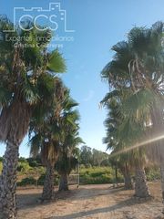 Mas à Bollullos Par del Condado. Venta de finca en propiedad de 5.000m2 de terreno con 2 contened