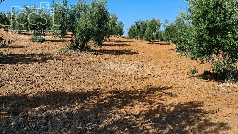 Foto b20b0f79-ffe0-4520-ba13-f5cec4e4397d. Finca rústica a Almonte Almonte