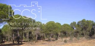 Masia a Cabezas Rubias. Venta de finca de 1.587 ha en cabezas rubias huelva