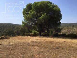 Finca rústica a Castillo de las Guardas (El). Venta de finca de 6ha. en el castillo de las guardas junto a la