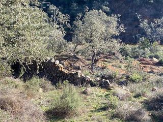 Finca rústica a Castillo de las Guardas (El). Venta de finca de 6ha. en el castillo de las guardas junto a la