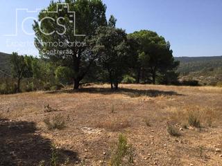 Finca rústica a Castillo de las Guardas (El). Venta de finca de 6ha. en el castillo de las guardas junto a la