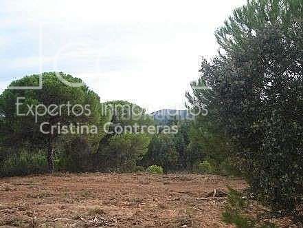 Foto 1b89d99a-56c0-4e8e-a8cb-5e37bb8f69c5. Finca rústica a Castillo de las Guardas (El)