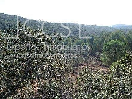 Foto 678fe729-952d-40a9-af03-bc503e1ea731. Finca rústica a Castillo de las Guardas (El)