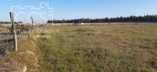Finca rústica a Almonte. Venta de finca de 26.700 m2 en almonte, huelva en concesión