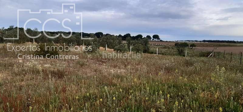 Foto 532efb68-e1d6-4dd6-a188-aafa22be83de. Finca rústica a Almonte Almonte