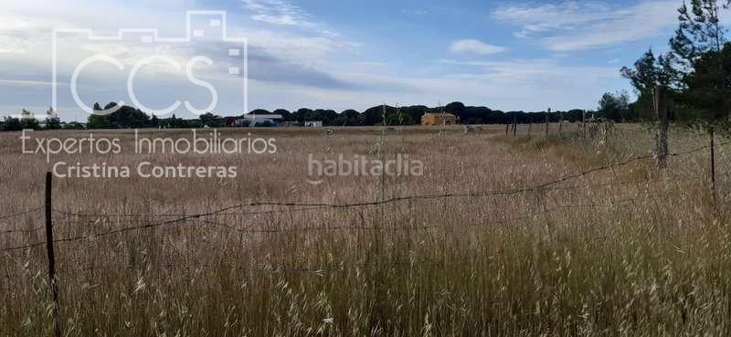 Foto 6f0a600a-dbe6-4d63-bd7d-83f2fd4ab9fd. Finca rústica a Almonte Almonte