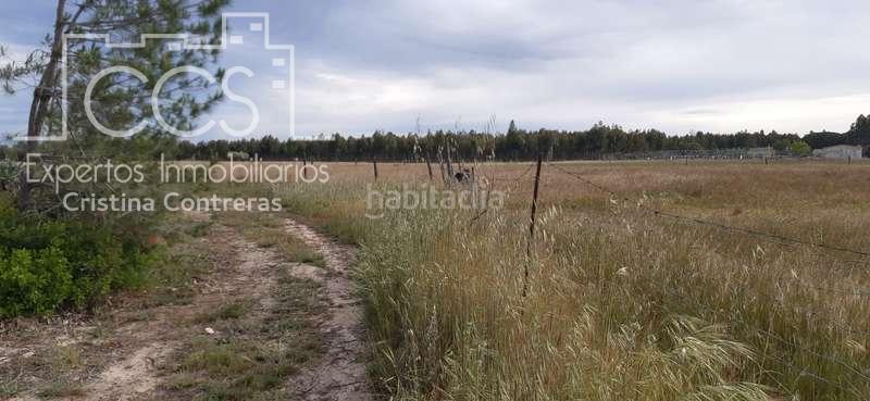 Foto b28877f9-77bd-4261-ac29-677bcdddb1fe. Finca rústica a Almonte Almonte