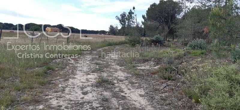 Foto fc972451-48ff-4c62-979a-f15c5fc466b5. Finca rústica a Almonte Almonte