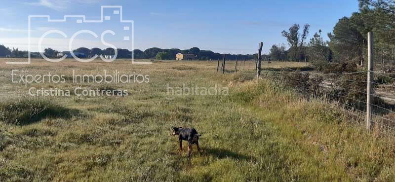 Foto 126d928d-1b7c-41fb-8bc2-78e79a2ff521. Finca rústica a Almonte Almonte