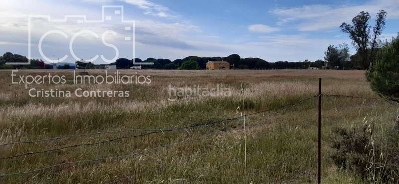 Foto 2bcea7bf-eb24-4757-910e-503c15b84cfb. Finca rústica a Almonte Almonte