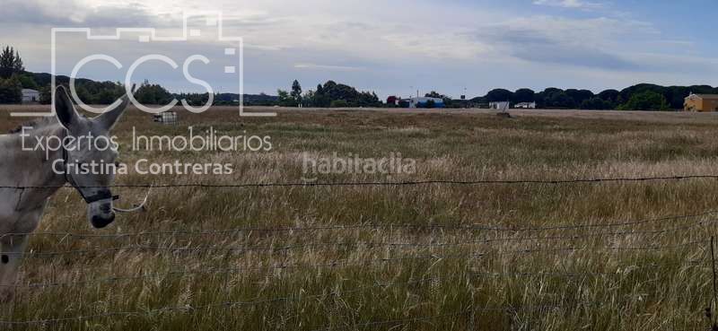 Foto 4407bbc7-4355-49b4-9826-a68f5c5be58d. Finca rústica a Almonte Almonte