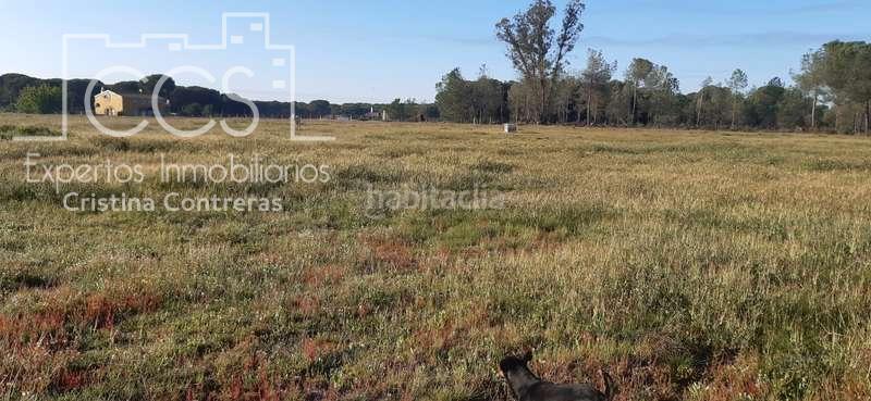 Foto 5ed5b497-5fc1-4176-a395-013b6e8d75f2. Propriété dans Almonte Almonte