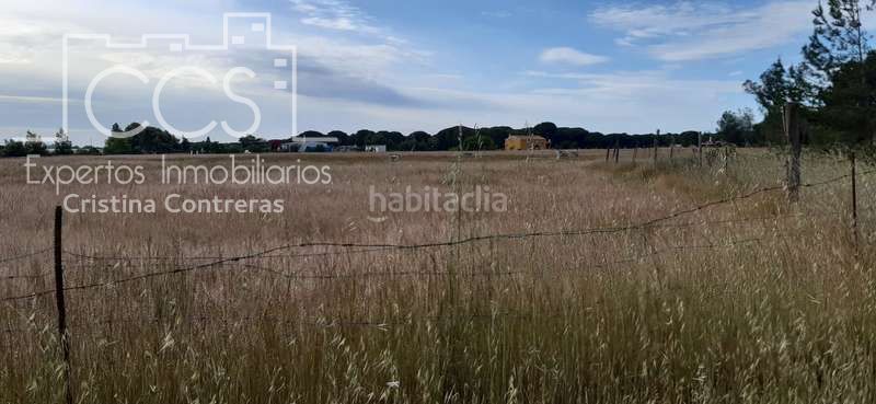 Foto 7120e21e-e7b0-493a-bae3-c66f9bfb419d. Finca rústica a Almonte Almonte