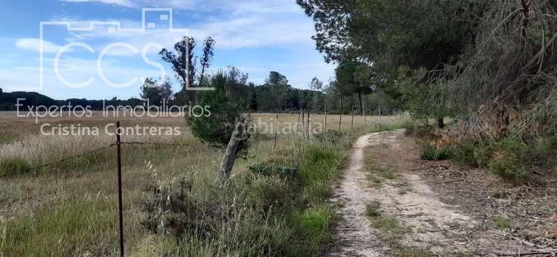 Foto 736e568d-72c2-40f8-a321-57d2418d61cd. Propriété dans Almonte Almonte