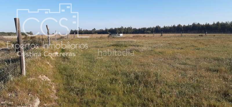 Foto 80aea3d8-5ea8-4432-b37a-2a7e7169db96. Propriété dans Almonte Almonte