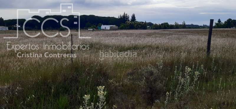 Foto 895e02b1-a733-4301-aab4-f9db1c94df00. Finca rústica a Almonte Almonte