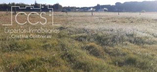 Fondo rustico in Almonte. Venta de finca en concesión de 26.700 m2 en almonte, huelva