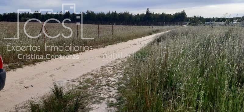 Foto a26bcabe-e5ab-4e8c-92c7-88498a41b767. Finca rústica a Almonte Almonte