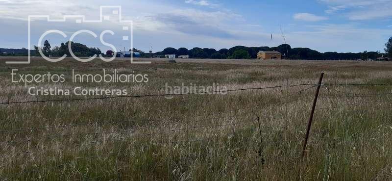 Foto a7373632-65e4-4521-8400-330be91ec3dc. Propriété dans Almonte Almonte